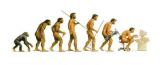 evolution